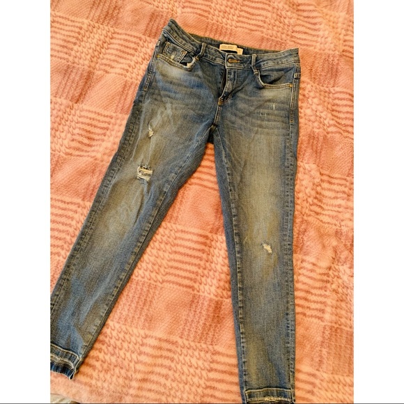 Zara Jean - Picture 5 of 5